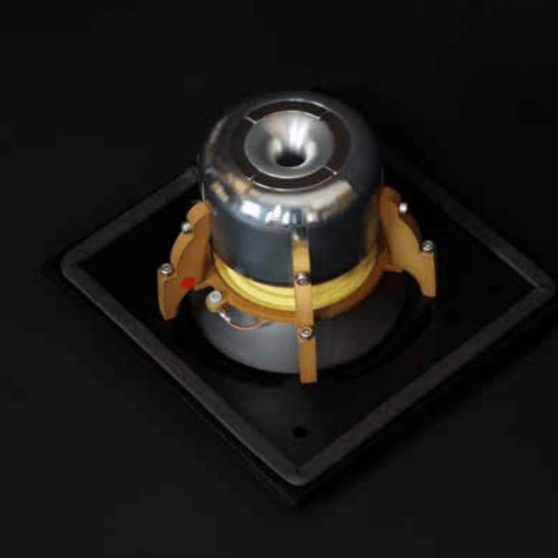 Raidho TD4.2 Kule Hoparlör