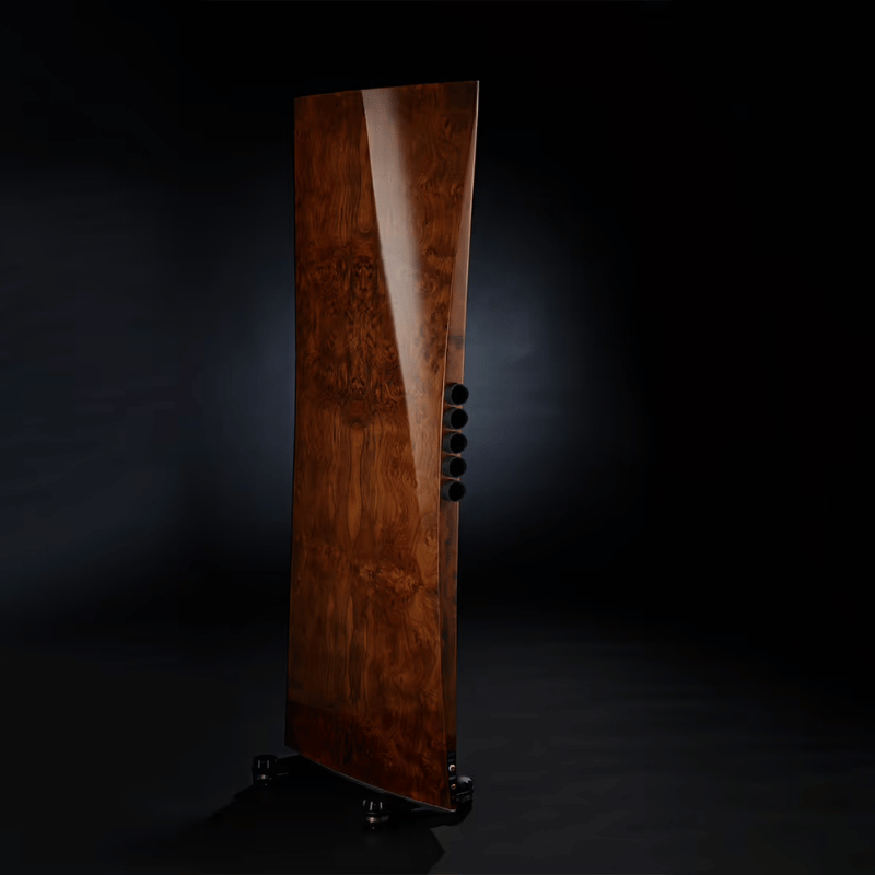 Raidho TD4.2 Kule Hoparlör