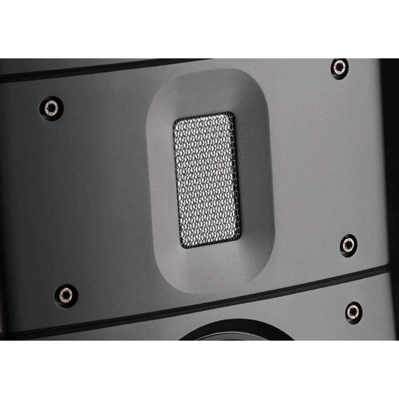 Raidho X1.6 Raf Tipi Hoparlör