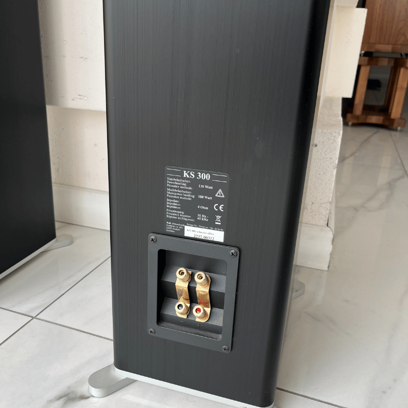 T+A KS 300 Kule Hoparlör