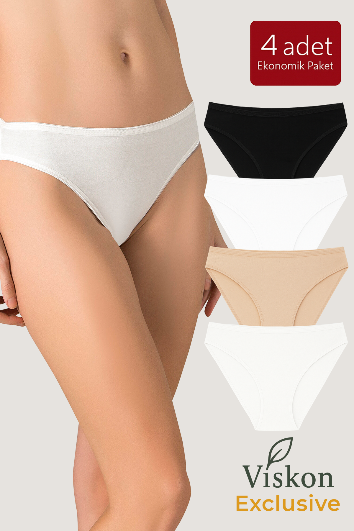 4'lü Paket Kadın Viskon Esnek Yumuşak Slip Külot | K23926