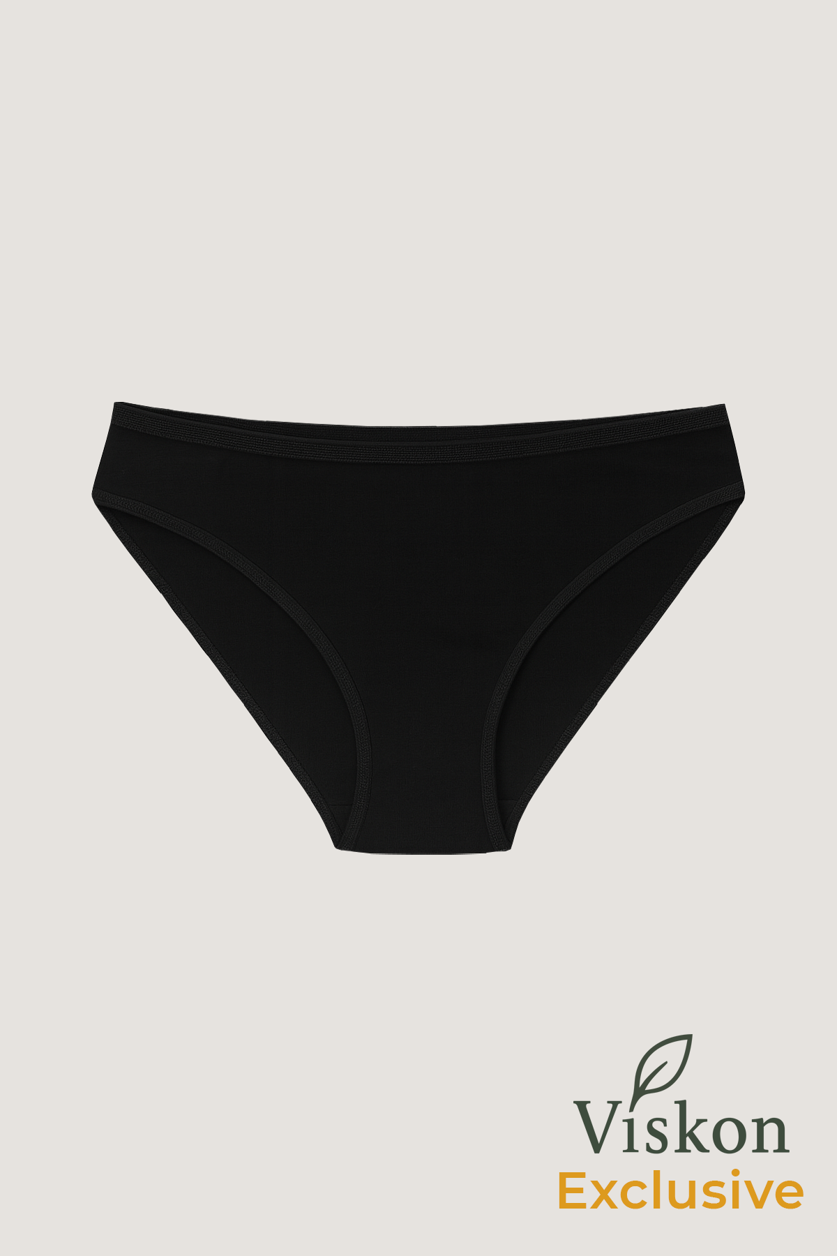 4'lü Paket Kadın Viskon Esnek Yumuşak Slip Külot | K23926