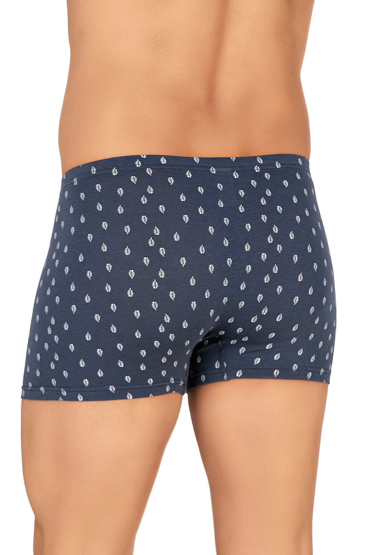 Erkek Pamuklu Likralı Modal Desenli Boxer | 11113