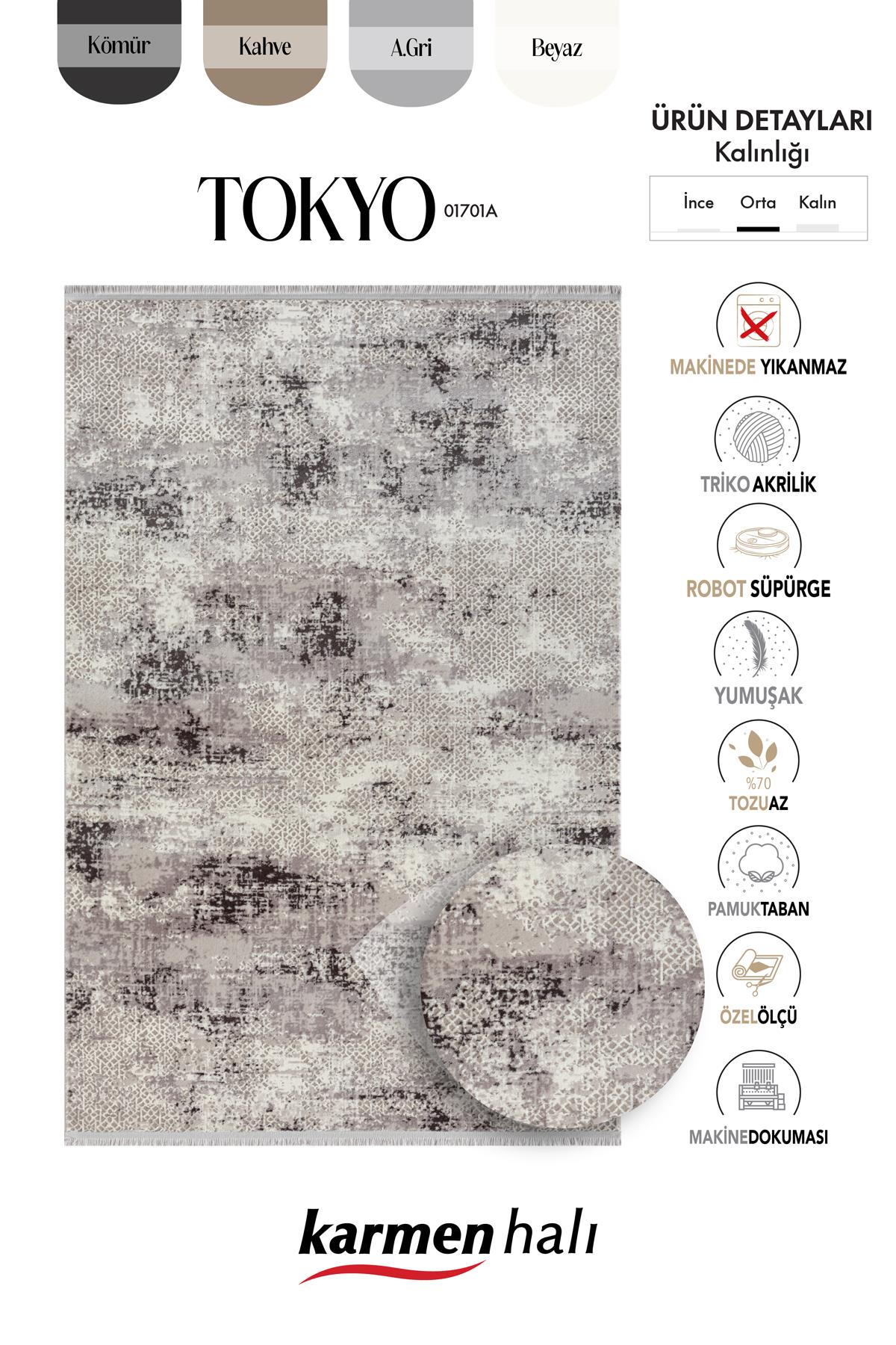 Tokyo 01701a