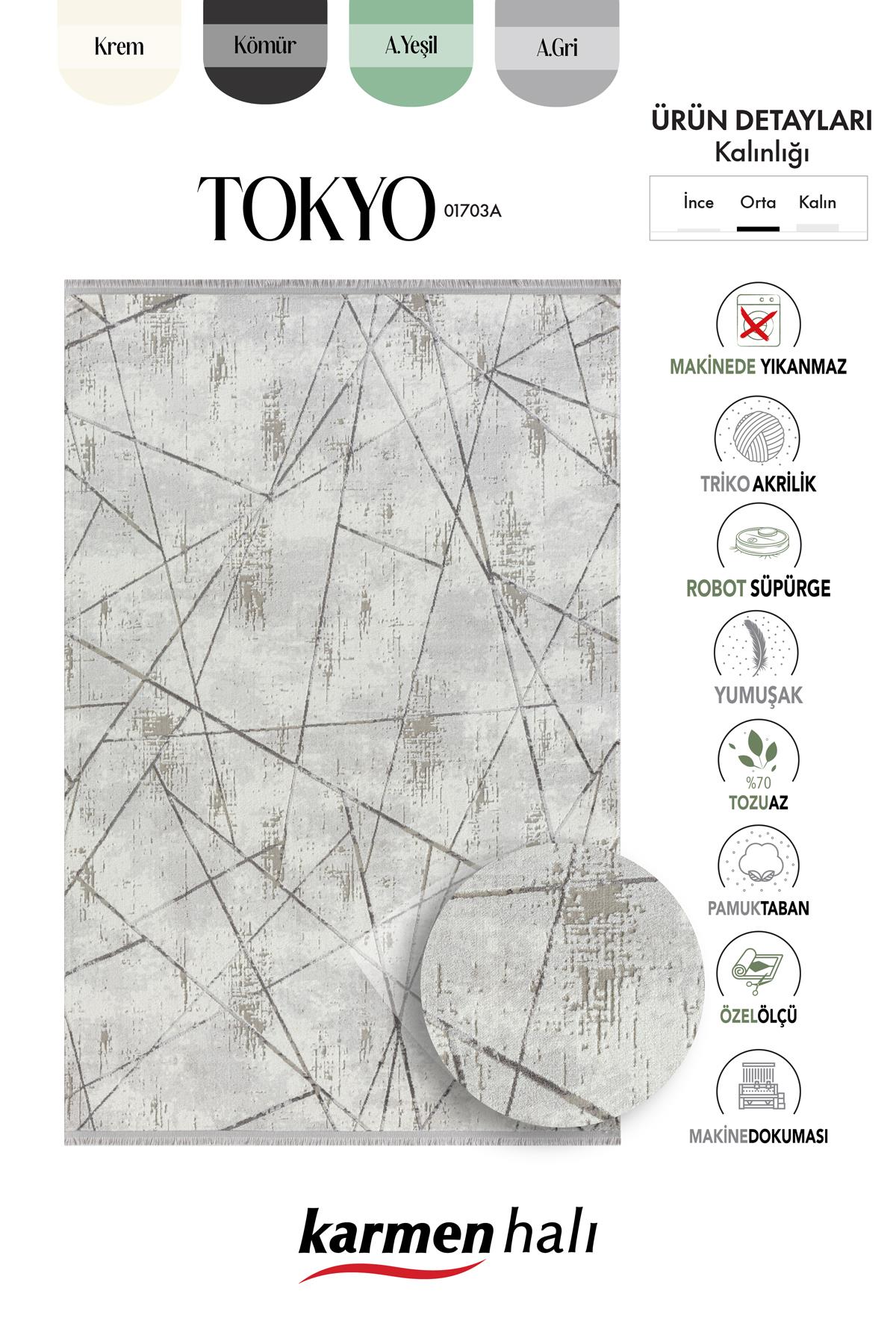 Tokyo 01703a