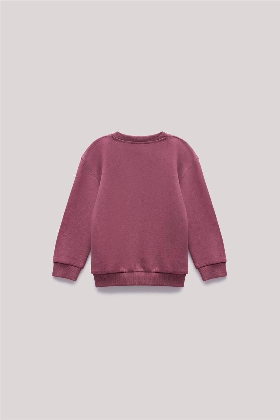 Beverly Hills Polo Club Erkek Çocuk Bordo Sweatshirt