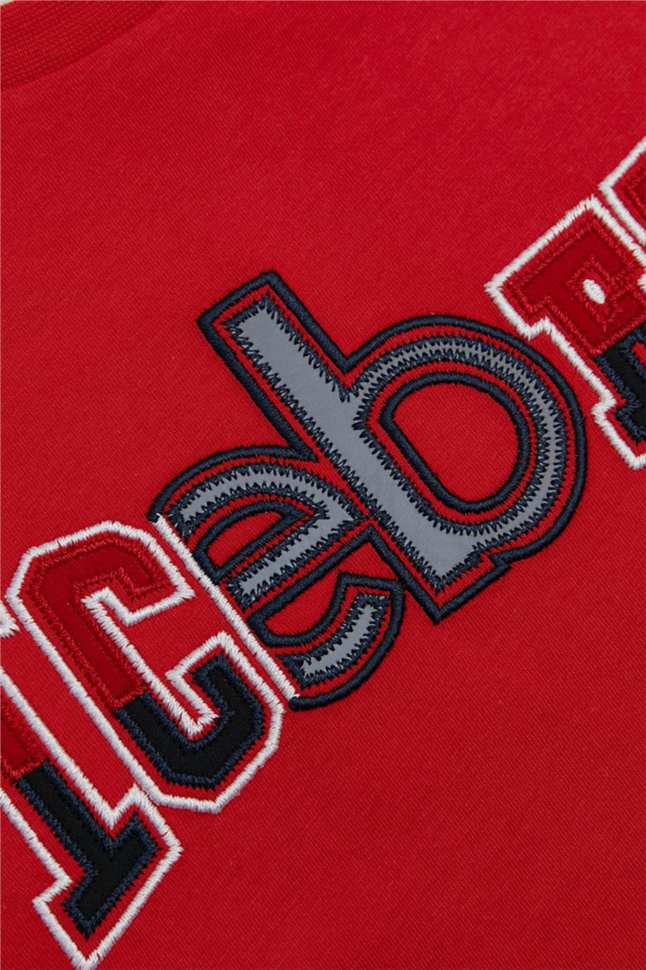 Iceberg Erkek Çocuk Kırmızı T-Shirt