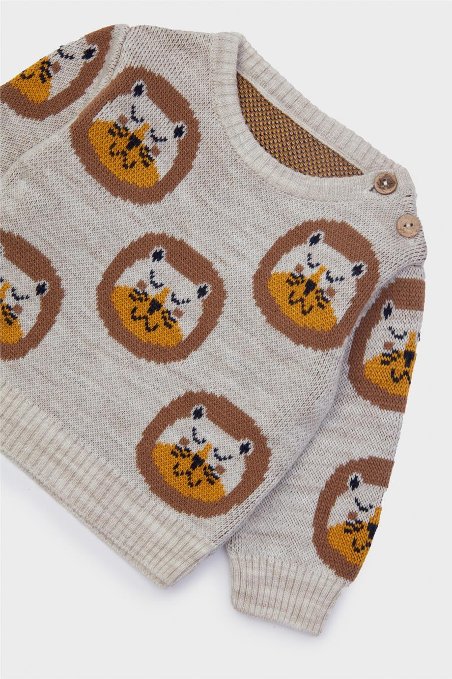 Layette Erkek Bebek Desenli Kazak