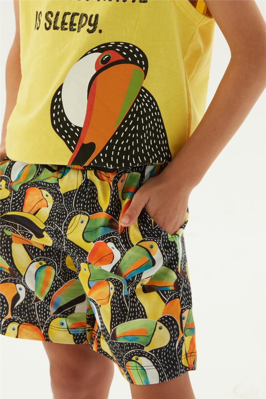 Nebbati Erkek Çocuk Desenli Pijama Takımı