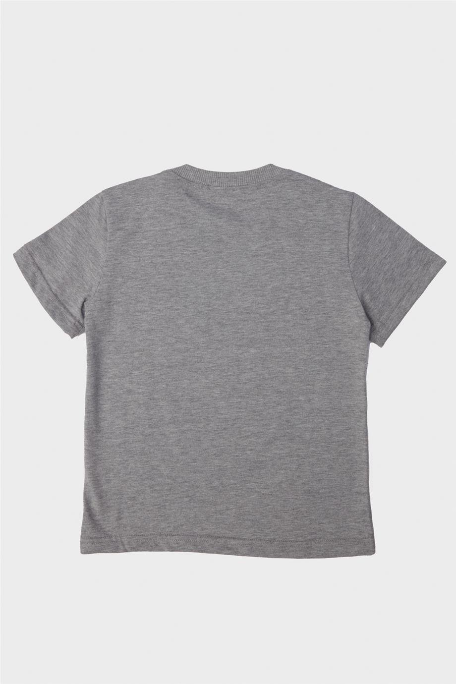 Nebbati Erkek Çocuk Gri T-Shirt