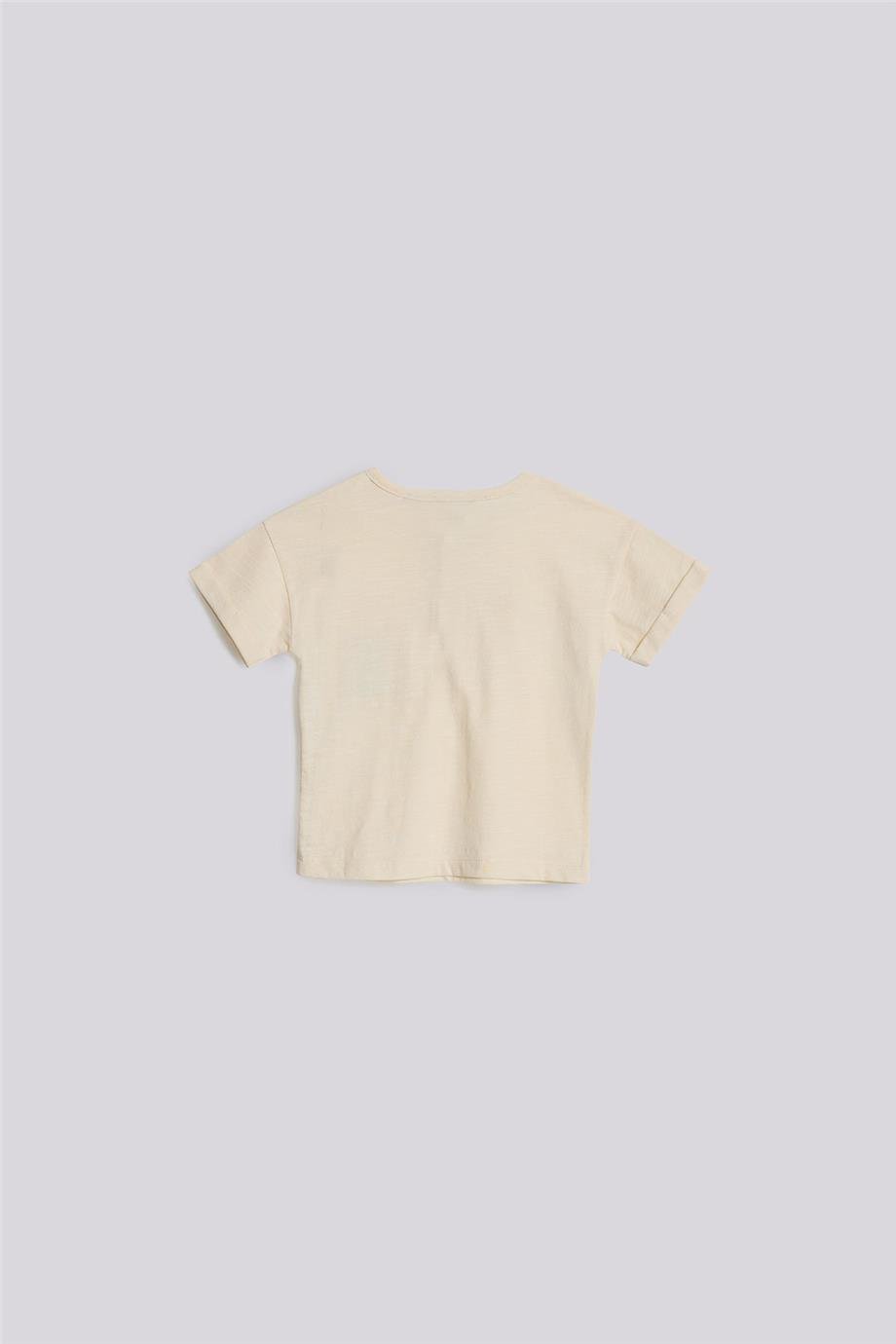  Baby Boy Beige Tshirt  Baby Boy Beige Tshirt 