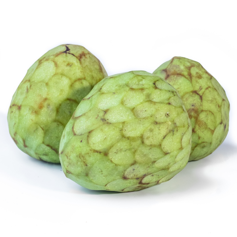 Cherimoya 