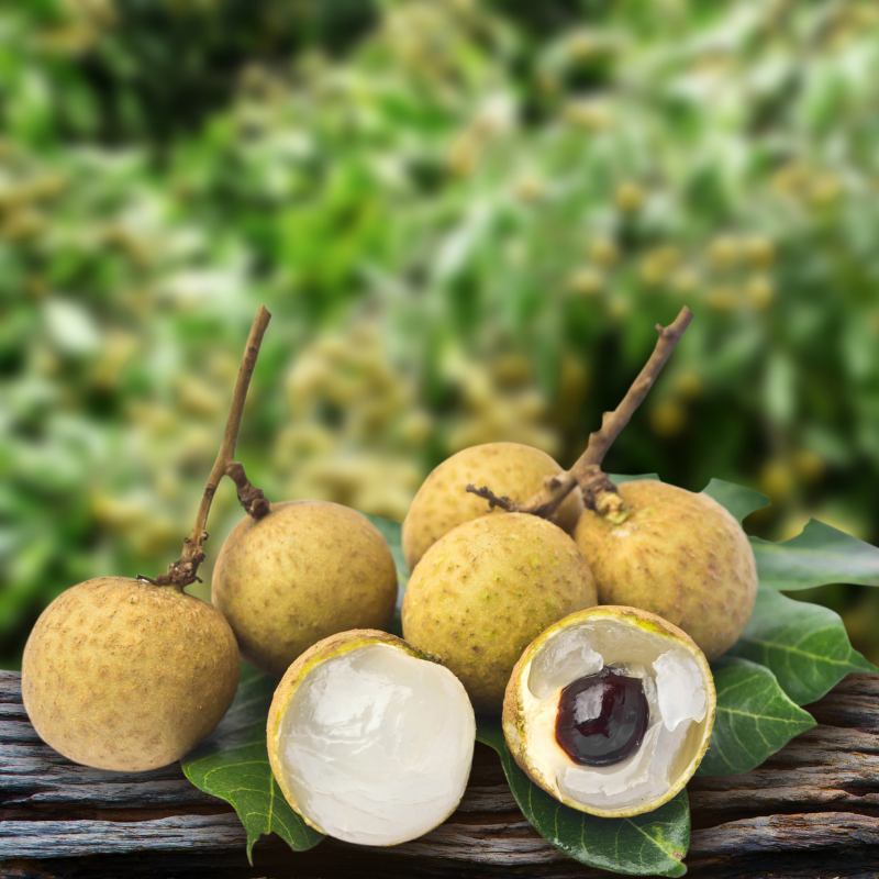 Longan 250 Gram