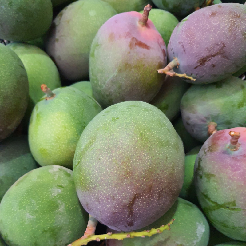 YERLİ MANGO 1 ADET