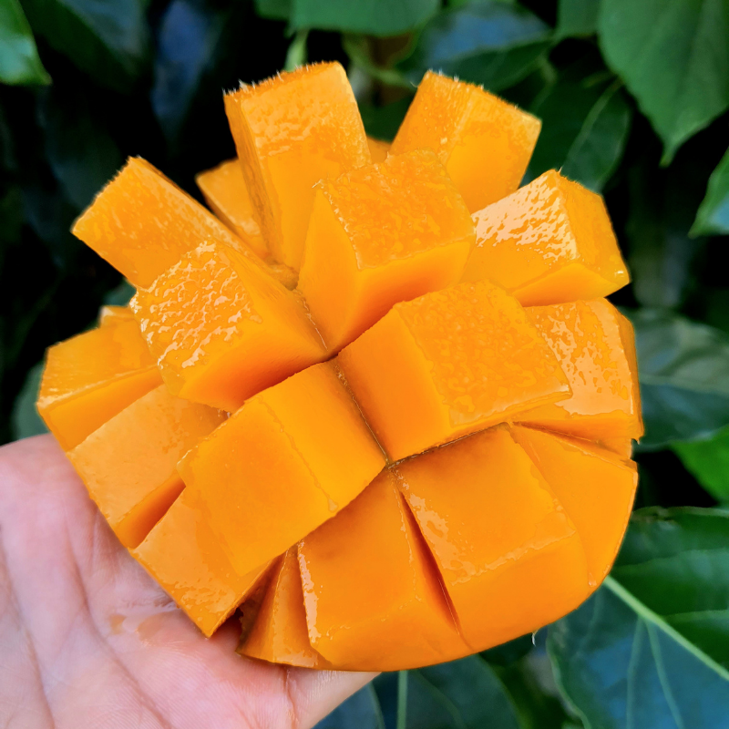 YERLİ MANGO 1 KG
