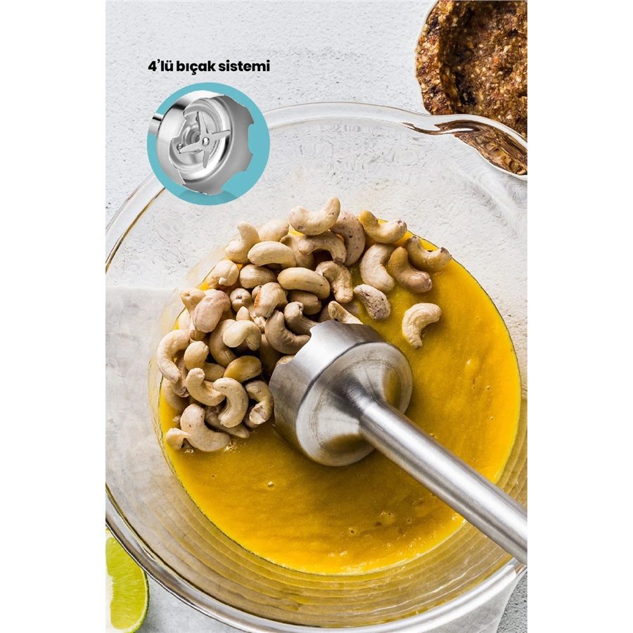GOLDMASTER MAXİMİX HAND BLENDER-GM7244