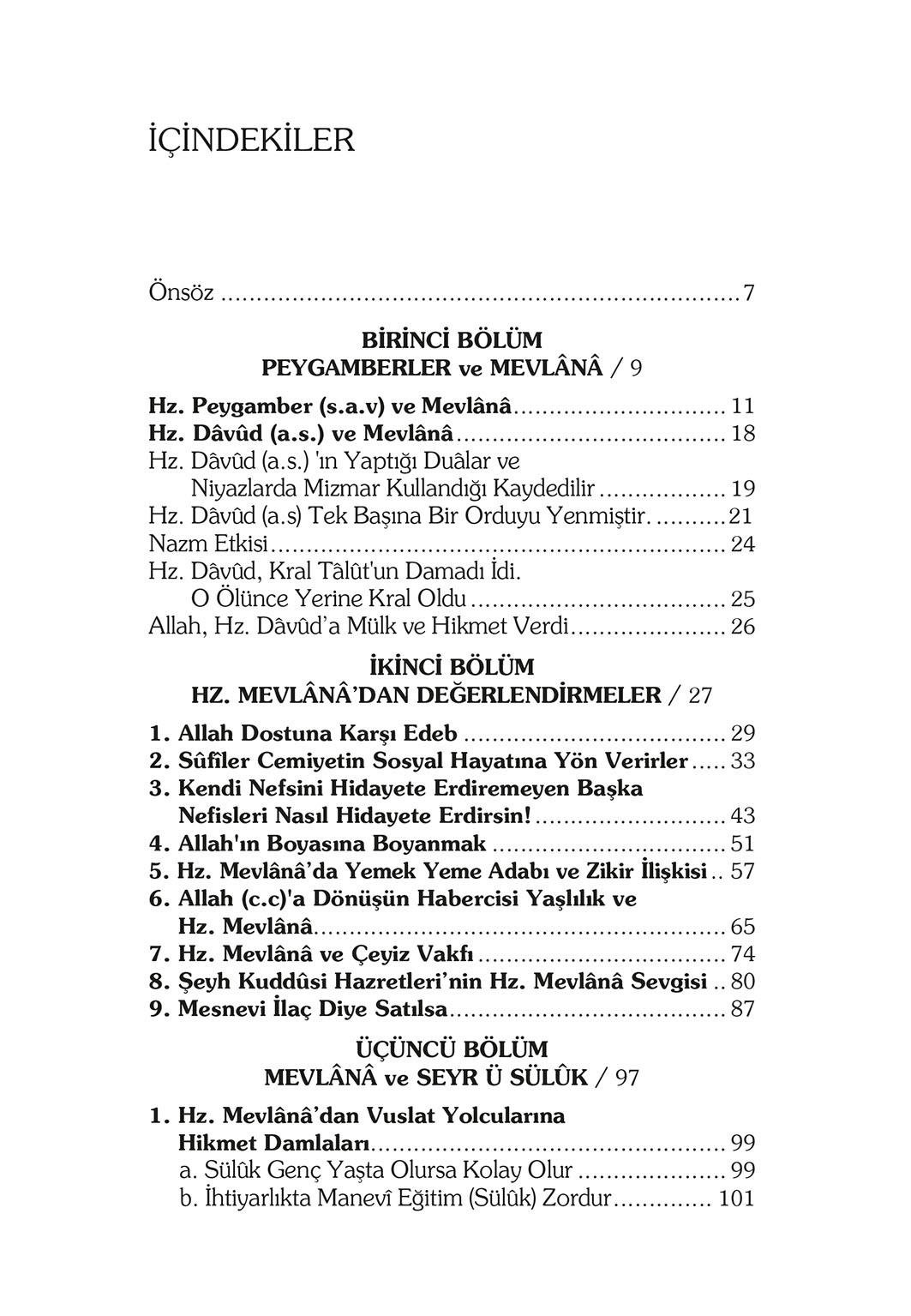 Aşk Ummanı Mevlana - Prof. Dr. Ethem Cebecioğlu