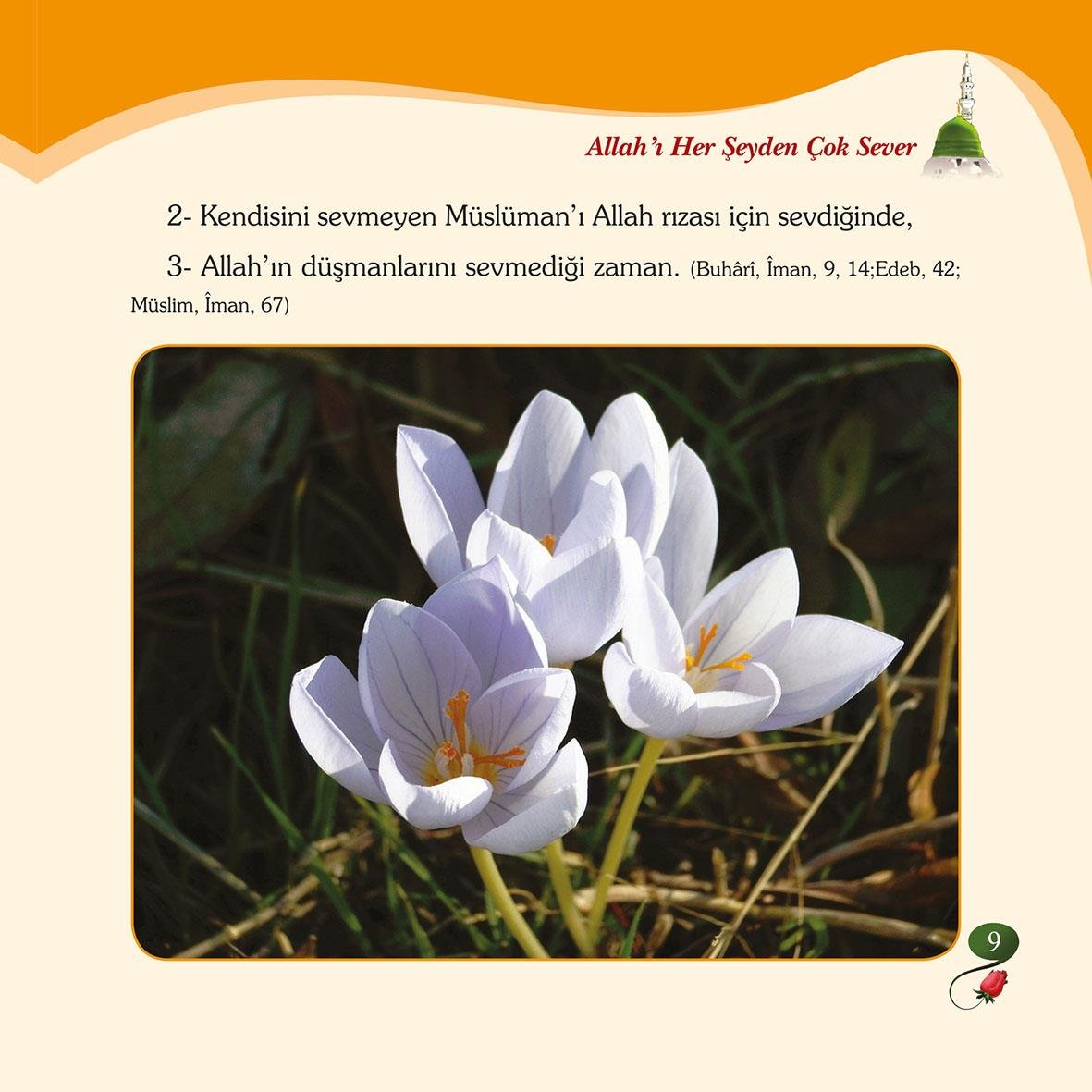 Benim Ümmetim - Harun Kırkıl