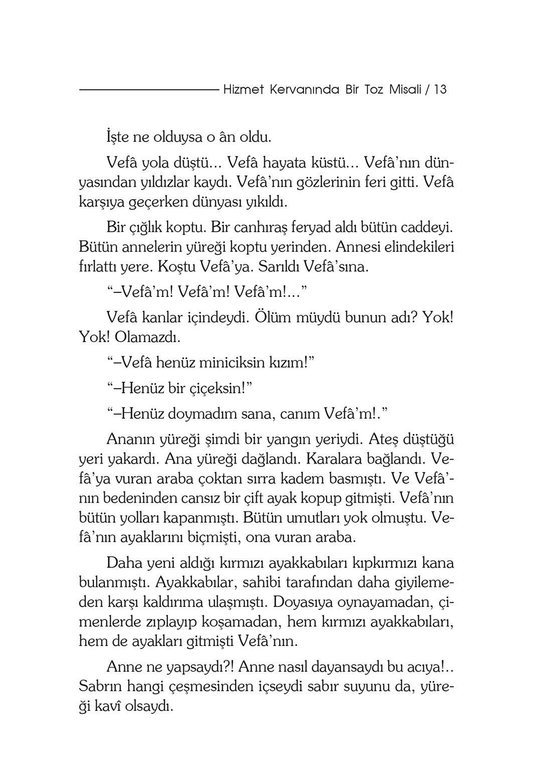 Bir Vefa Öyküsü - Şefika Kaya Meriç