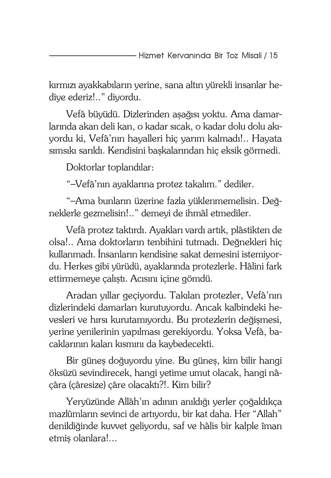 Bir Vefa Öyküsü - Şefika Kaya Meriç