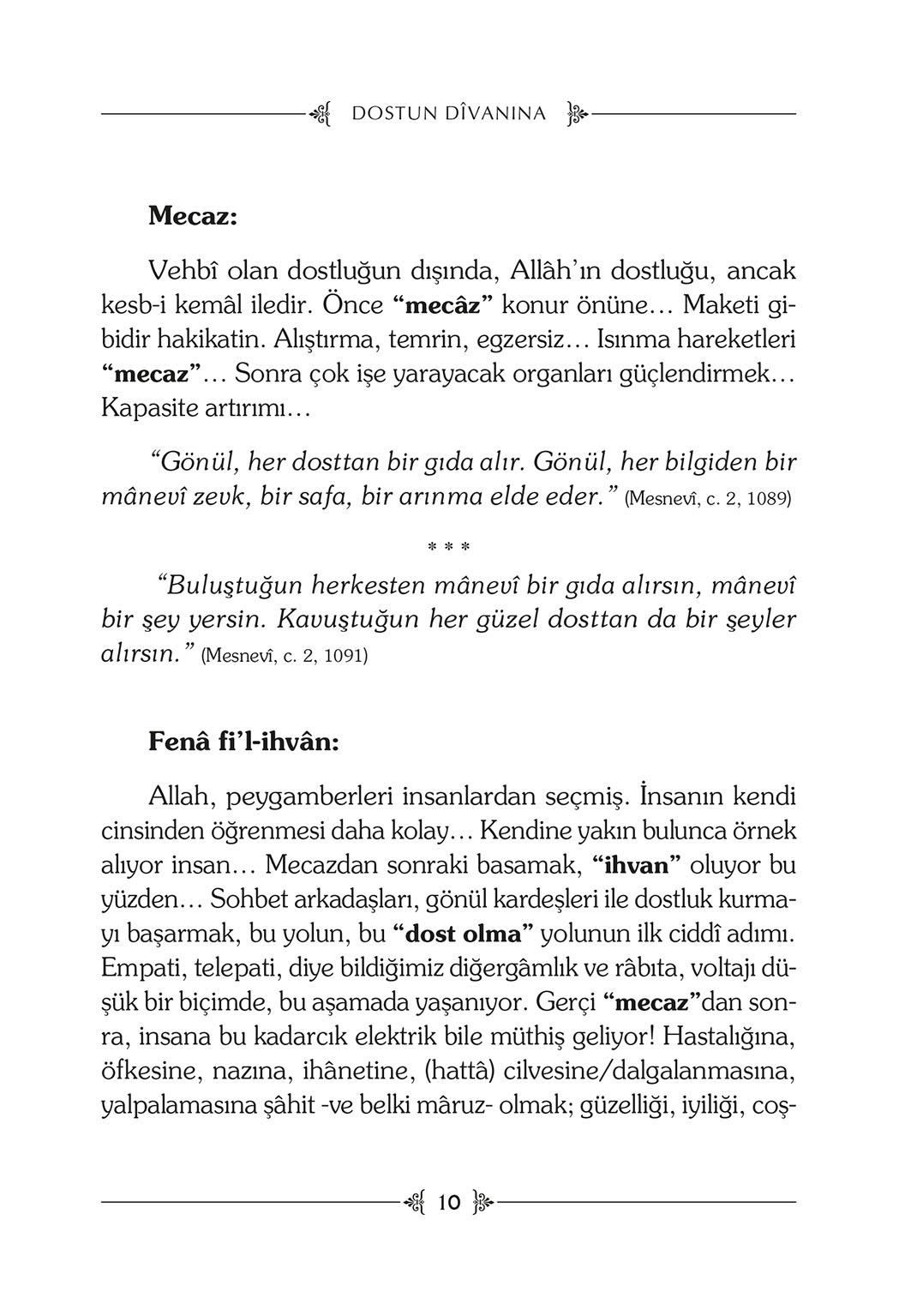 Dostun Divanına - Halime Demireşik