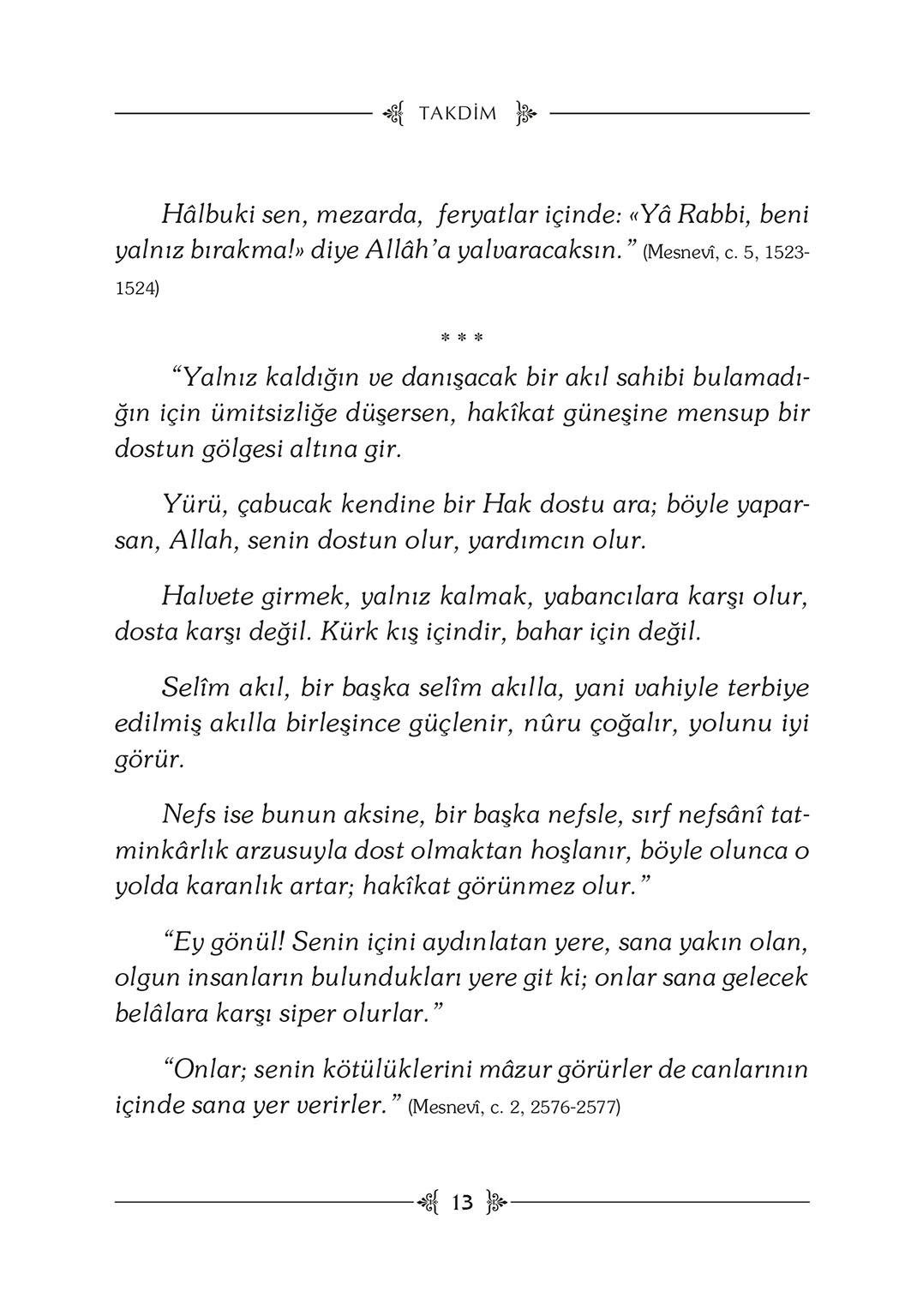 Dostun Divanına - Halime Demireşik