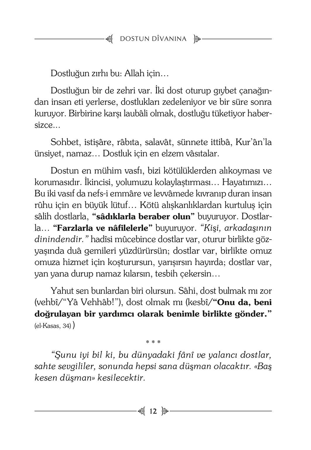 Dostun Divanına - Halime Demireşik