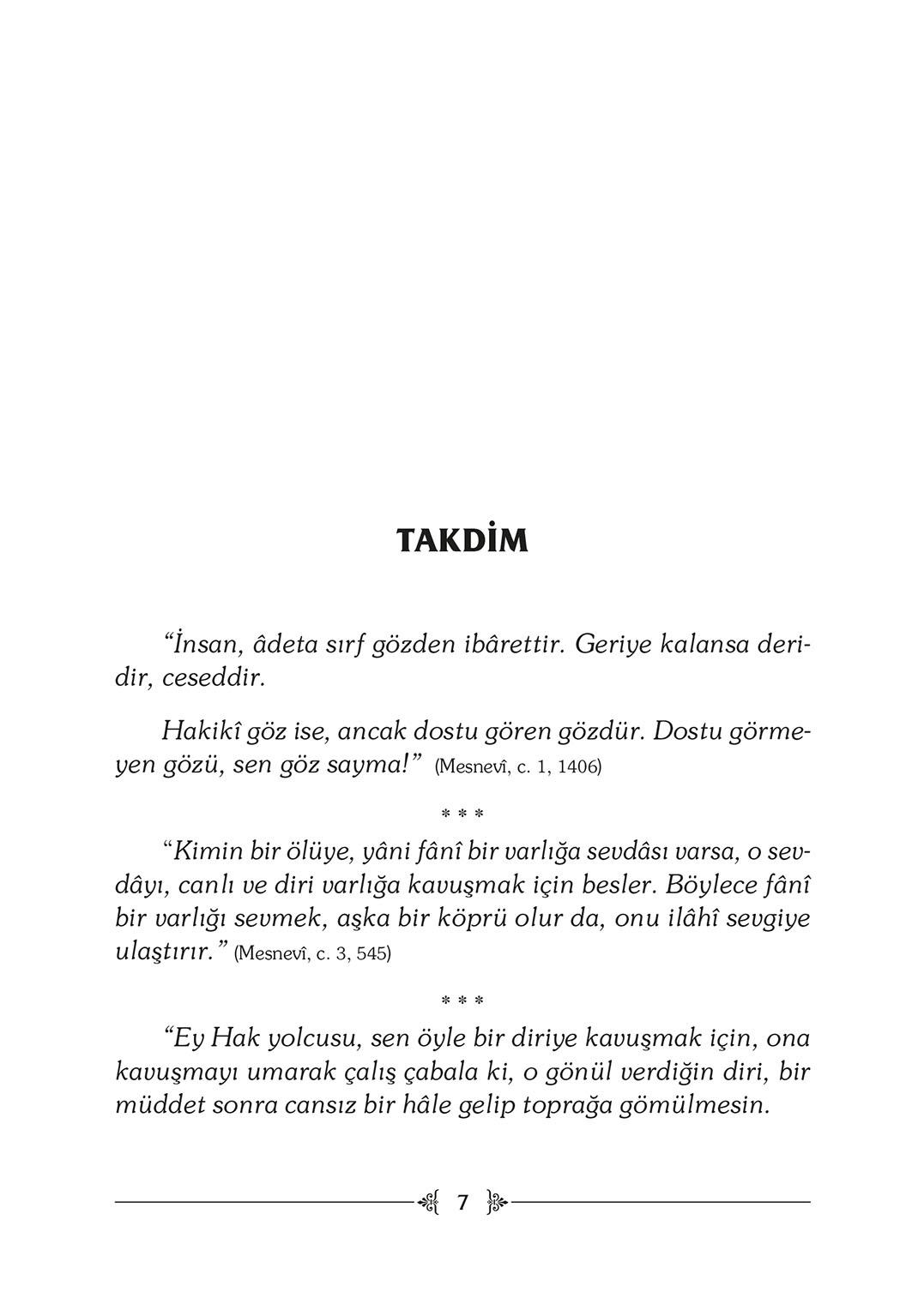 Dostun Divanına - Halime Demireşik