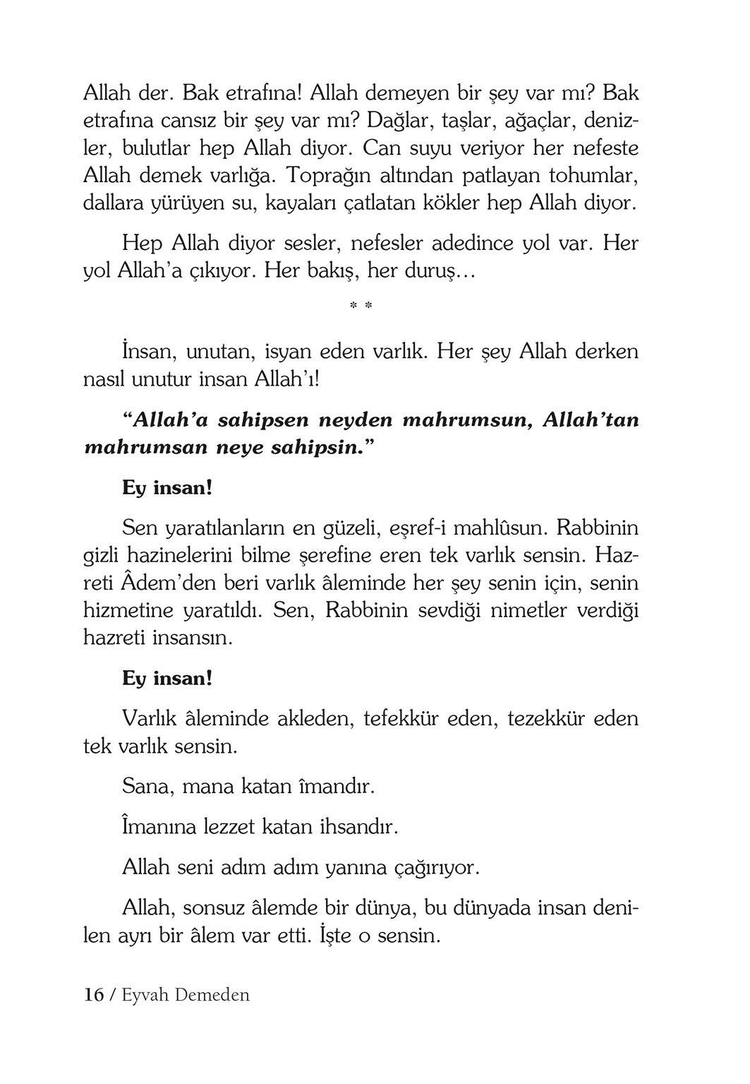 Eyvah Demeden - Salih Zeki Meriç