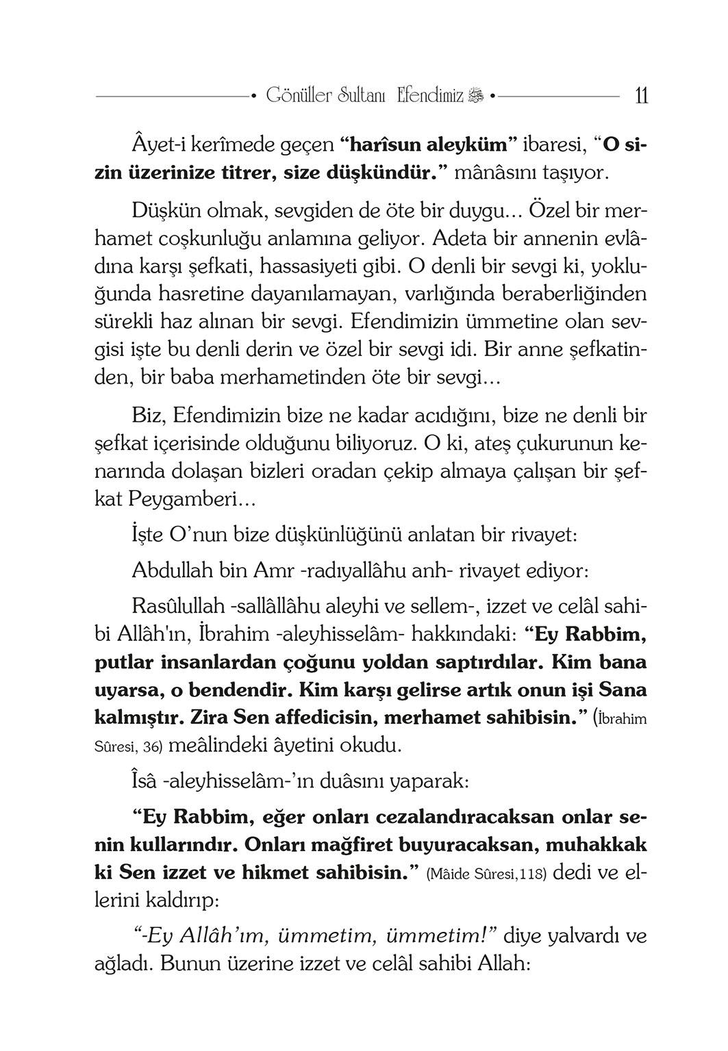 Gönüller Sultanı Efendimiz - Şefika Kaya Meriç