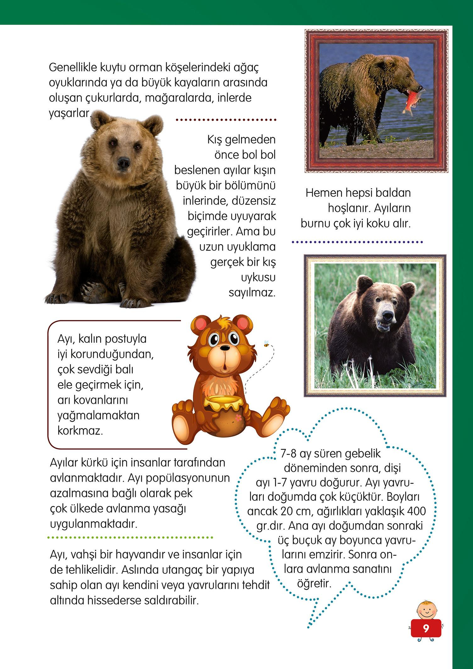 Hayvanlar Alemi - 1 - Mete Ulusoy