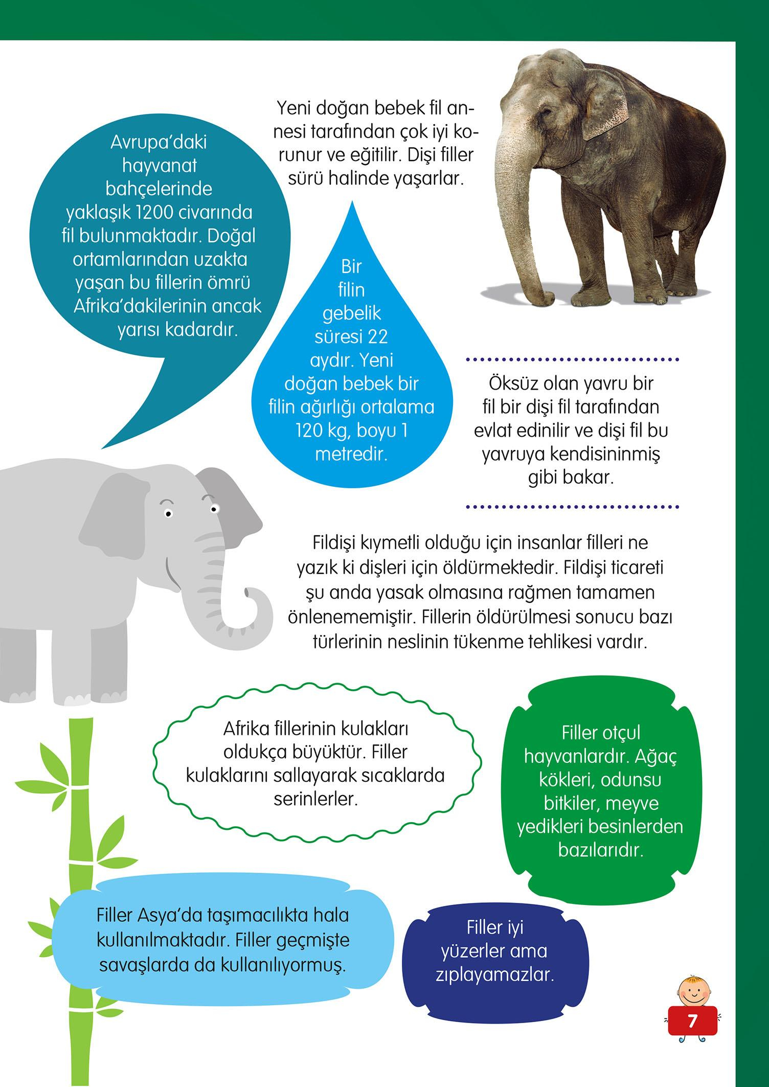 Hayvanlar Alemi - 1 - Mete Ulusoy