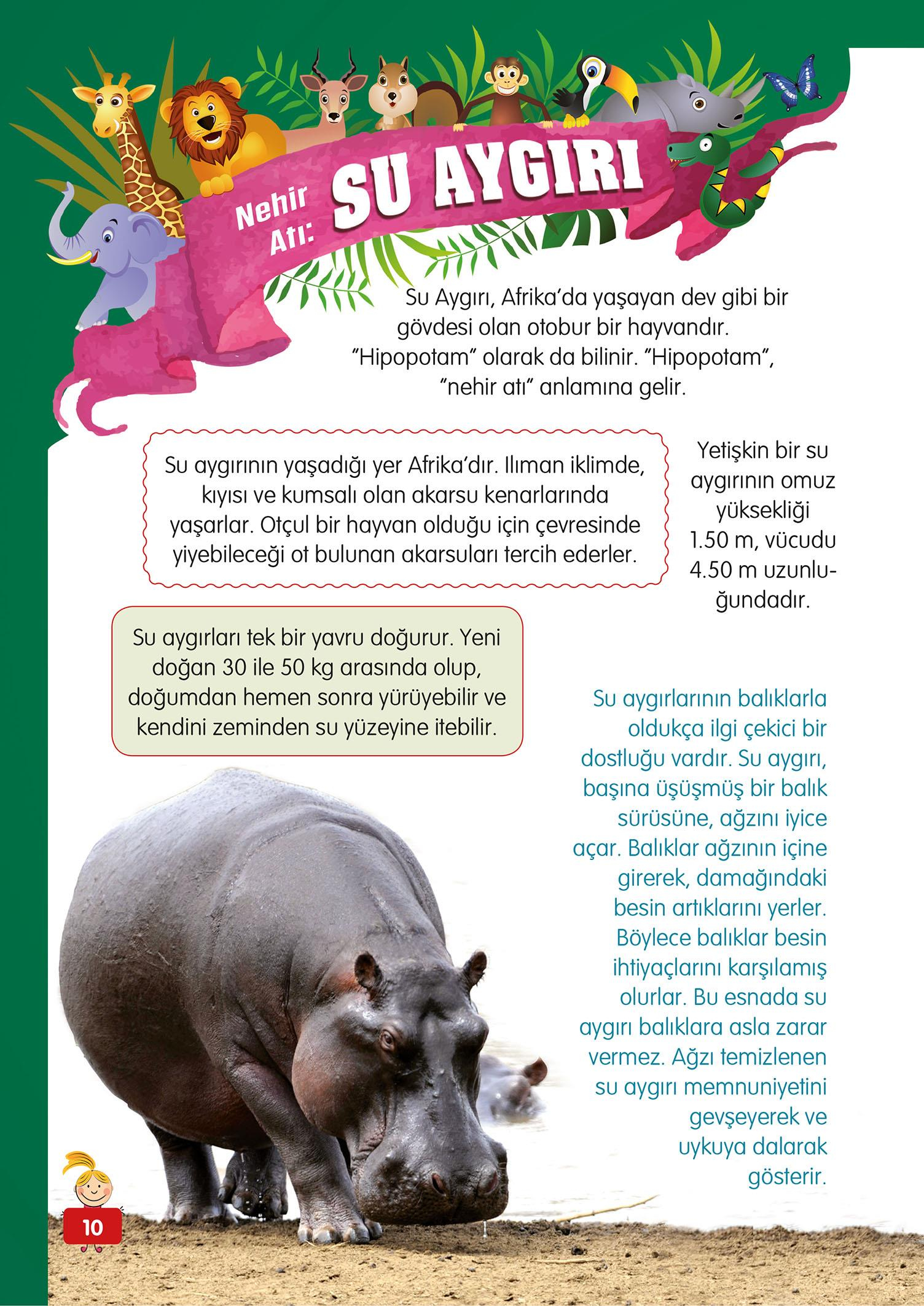 Hayvanlar Alemi - 1 - Mete Ulusoy