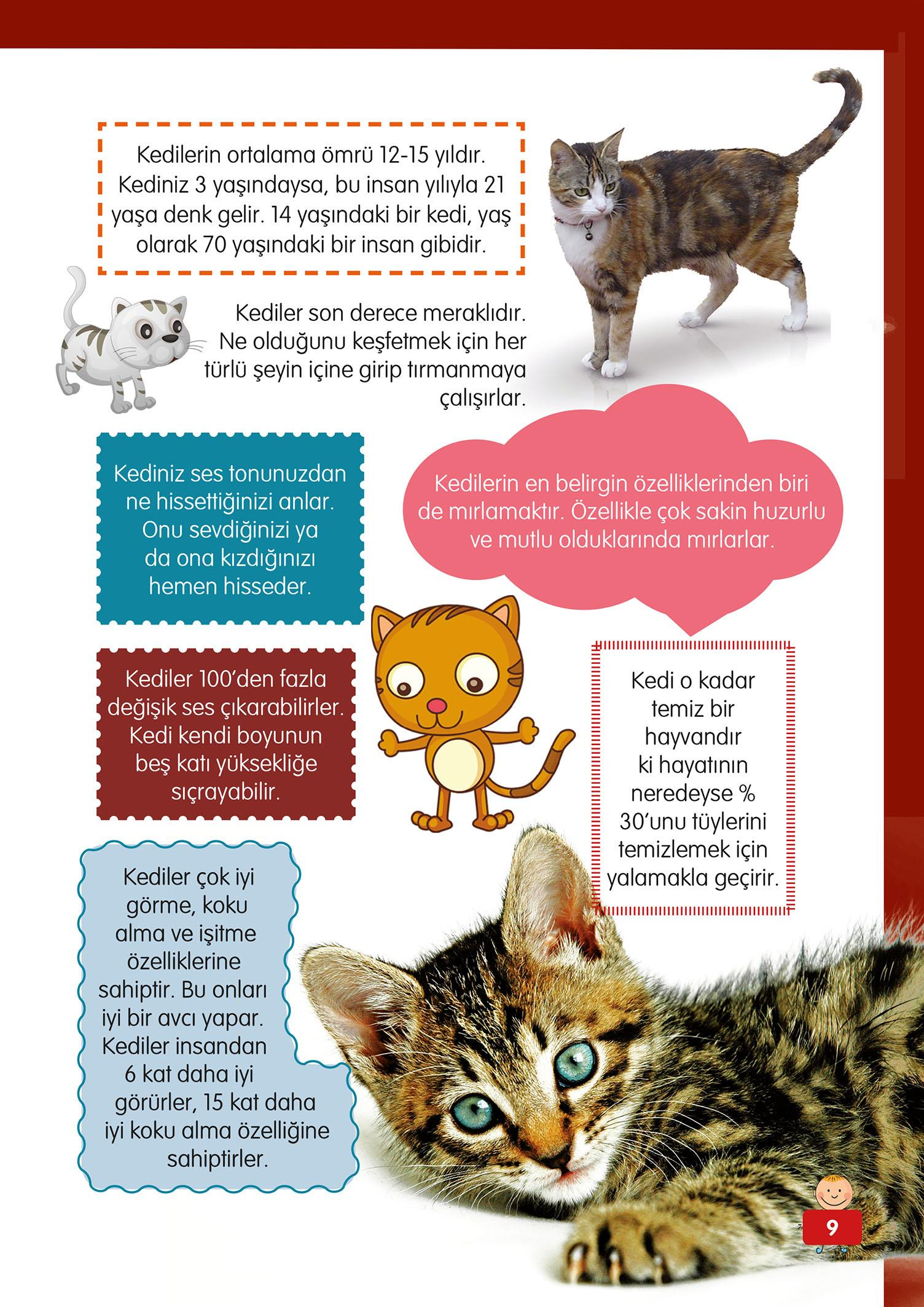 Hayvanlar Alemi - 2 - Mete Ulusoy