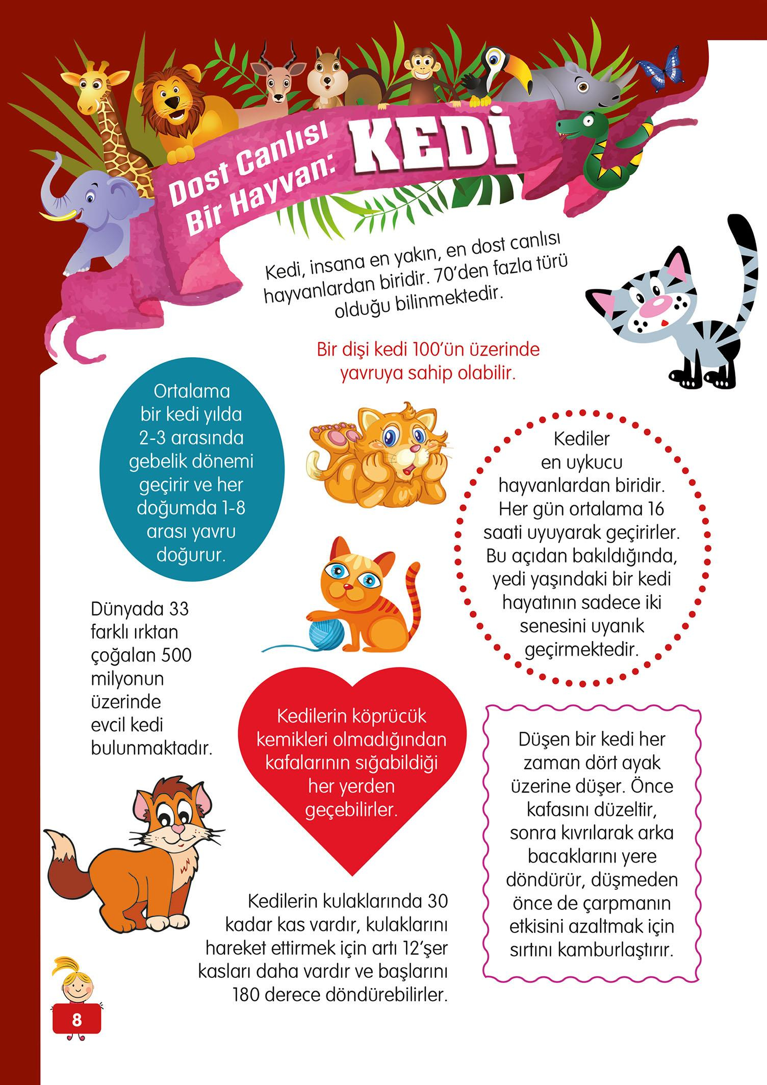 Hayvanlar Alemi - 2 - Mete Ulusoy