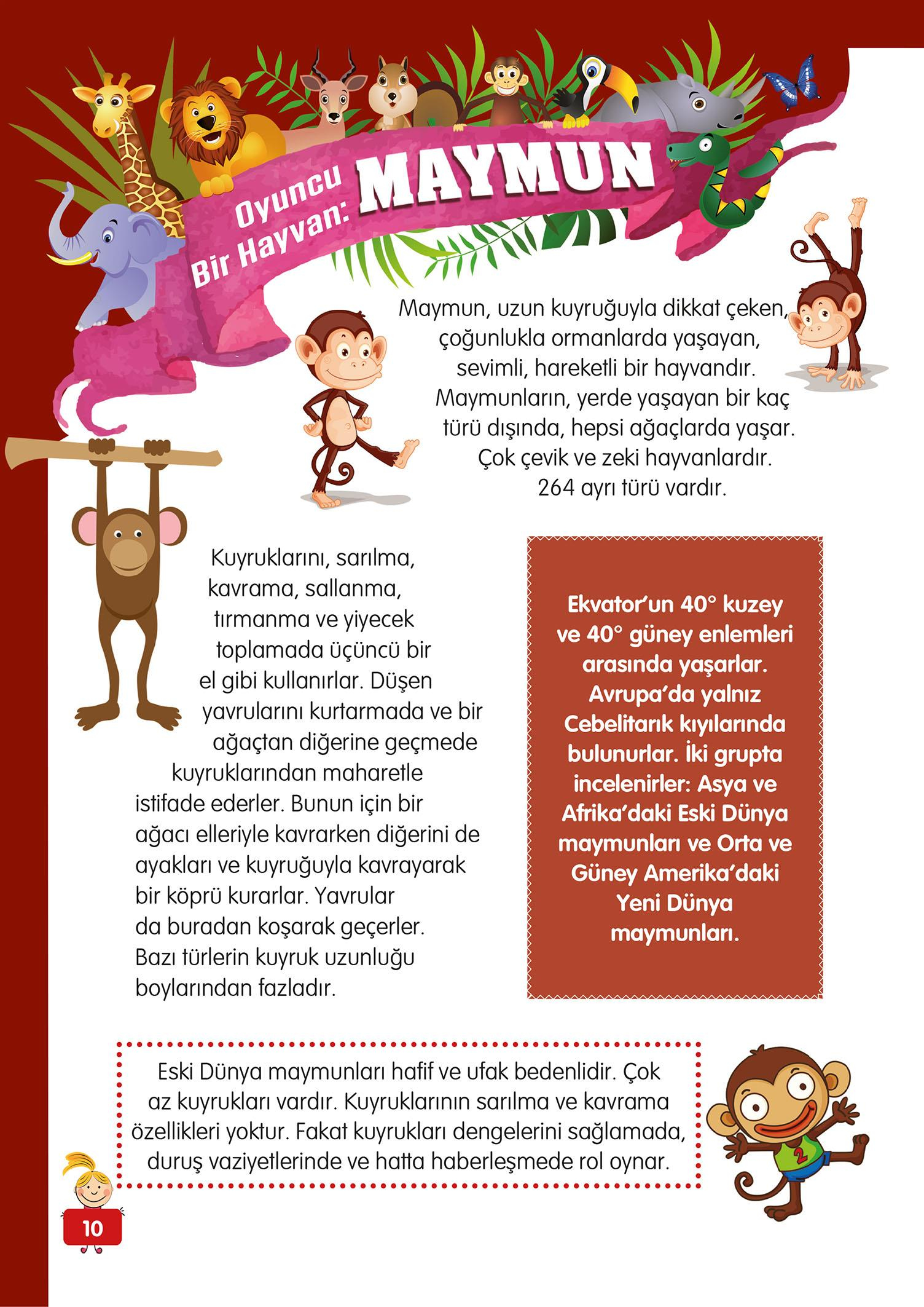 Hayvanlar Alemi - 2 - Mete Ulusoy