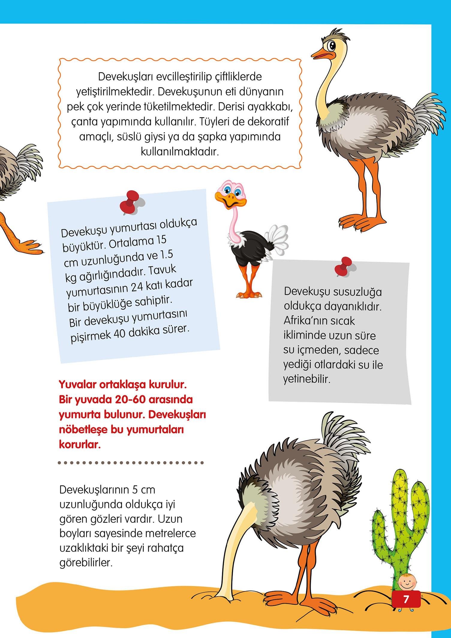 Hayvanlar Alemi - 3 - Mete Ulusoy