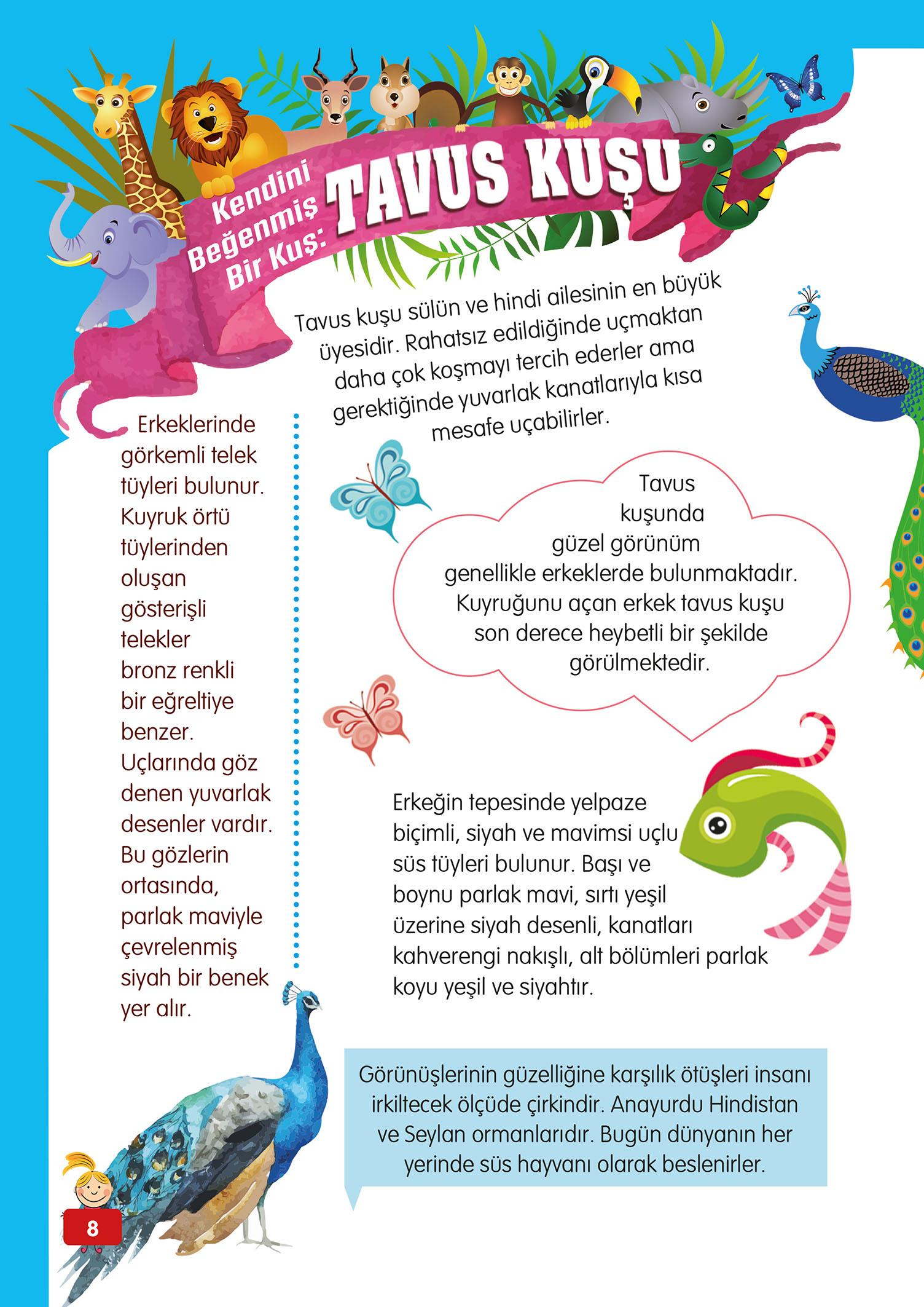 Hayvanlar Alemi - 3 - Mete Ulusoy