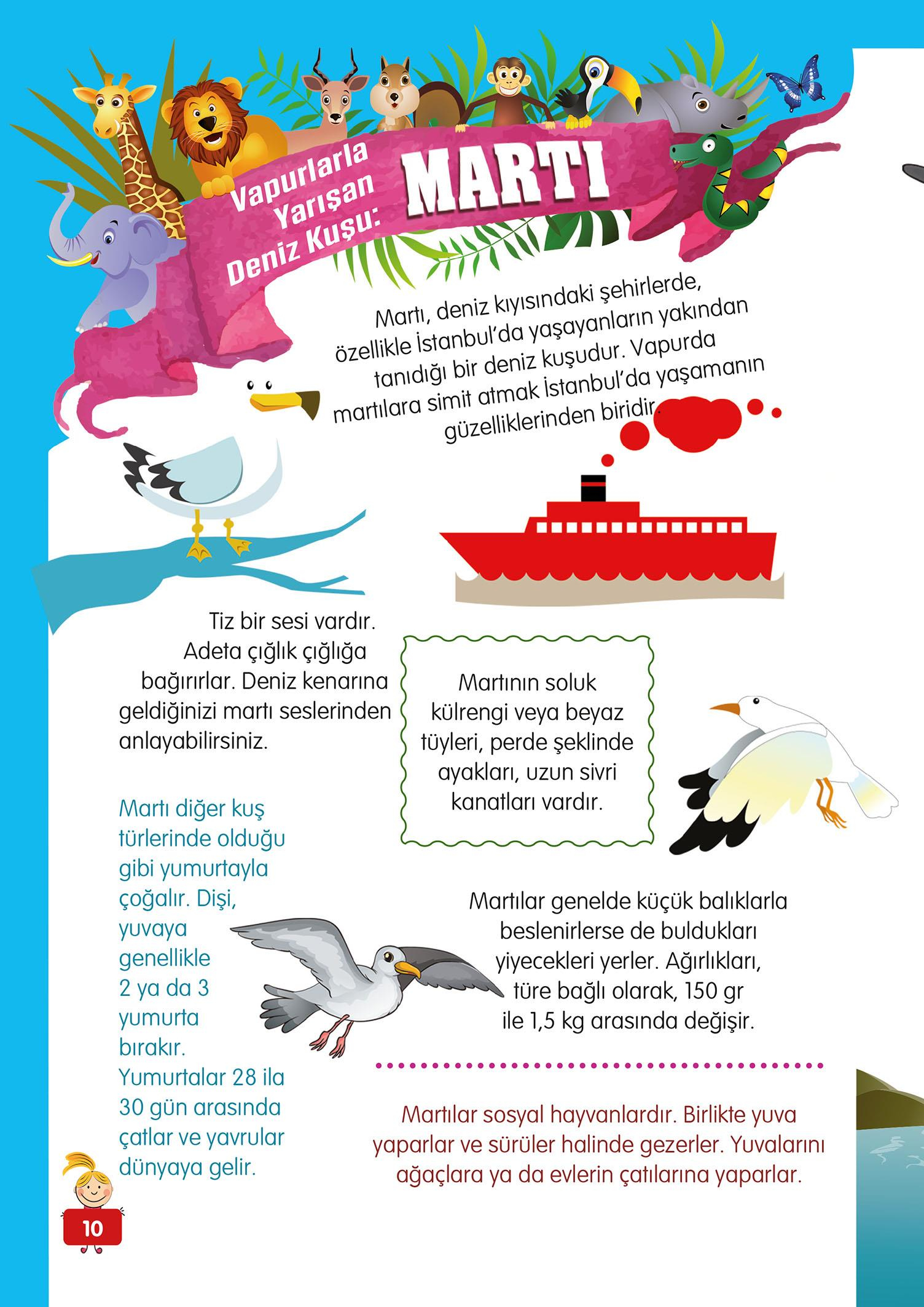 Hayvanlar Alemi - 3 - Mete Ulusoy
