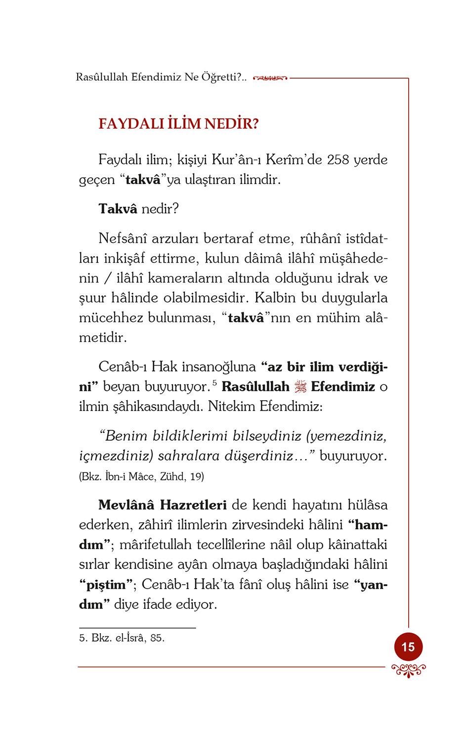 Mevlana İkliminde Gençlerle 12 Soru - Cevap - Osman Nuri Topbaş