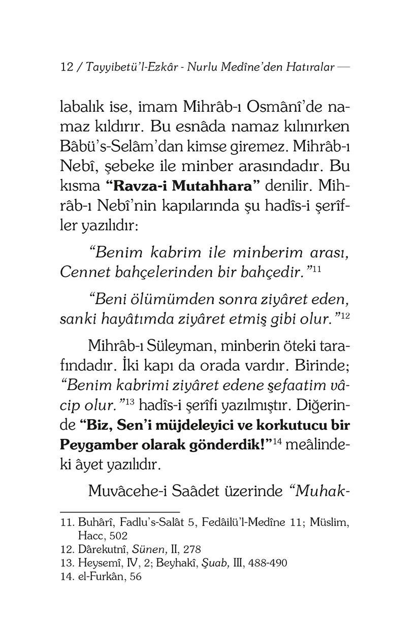 Nurlu Medine'den Hatıralar - Derviş Ahmed Peşkari