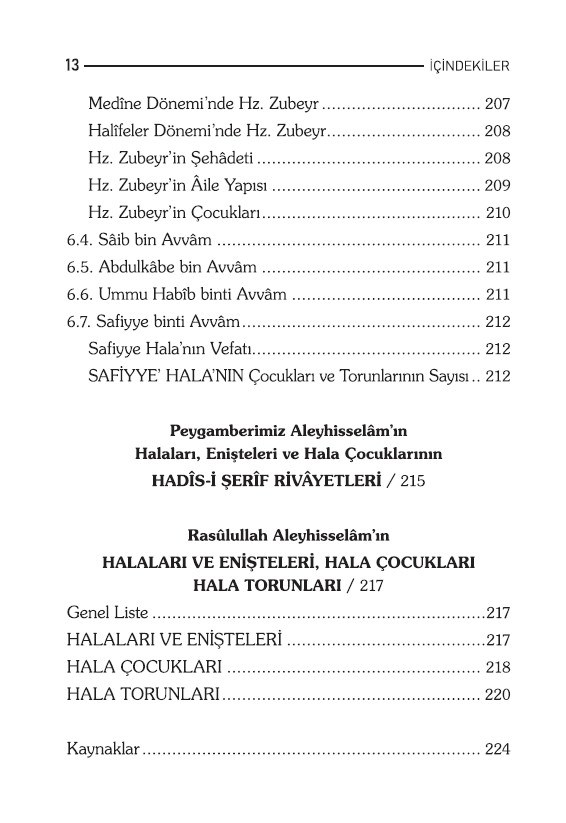 Rasulüllah Aleyhi̇sselam'in Halaları Enişteleri Ve Hala Çocukları - Adem Saraç-Rasulüllah Aleyhi̇sselam'in Halaları Enişteleri Ve Hala Çocukları - Adem Saraç - Erkam Yayınları