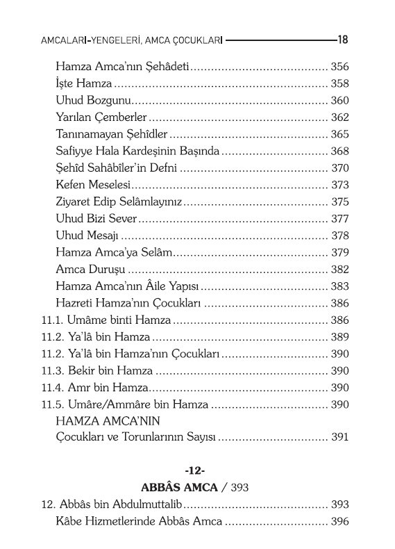 Rasulullah Aleyhisselam'ın Amcaları Yengeleri Ve Amca Çocukları - Adem Saraç-Rasulullah Aleyhisselam'ın Amcaları Yengeleri Ve Amca Çocukları - Adem Saraç - Erkam Yayınları