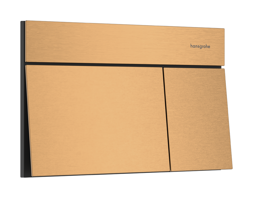 Hansgohe iFrame Element E Kumanda Kapağı Mat Bronz