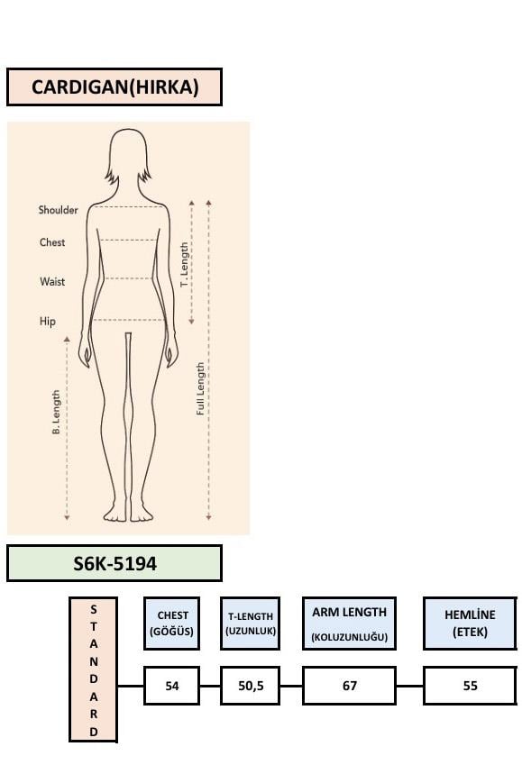 S6K5194NS