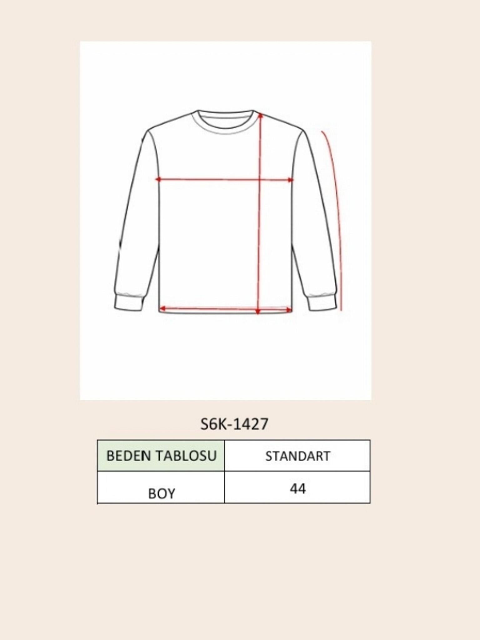 S6K1427CRKolsuz Balıkçı Yaka Triko Kazak 1427