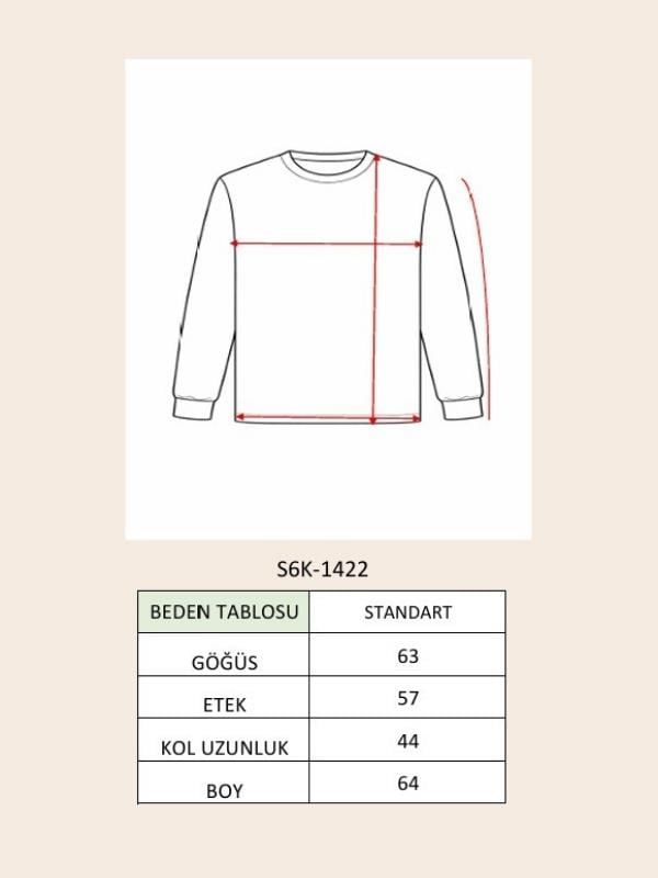 S6K1422CHŞal Yaka Detaylı Standart Triko Kazak 1422