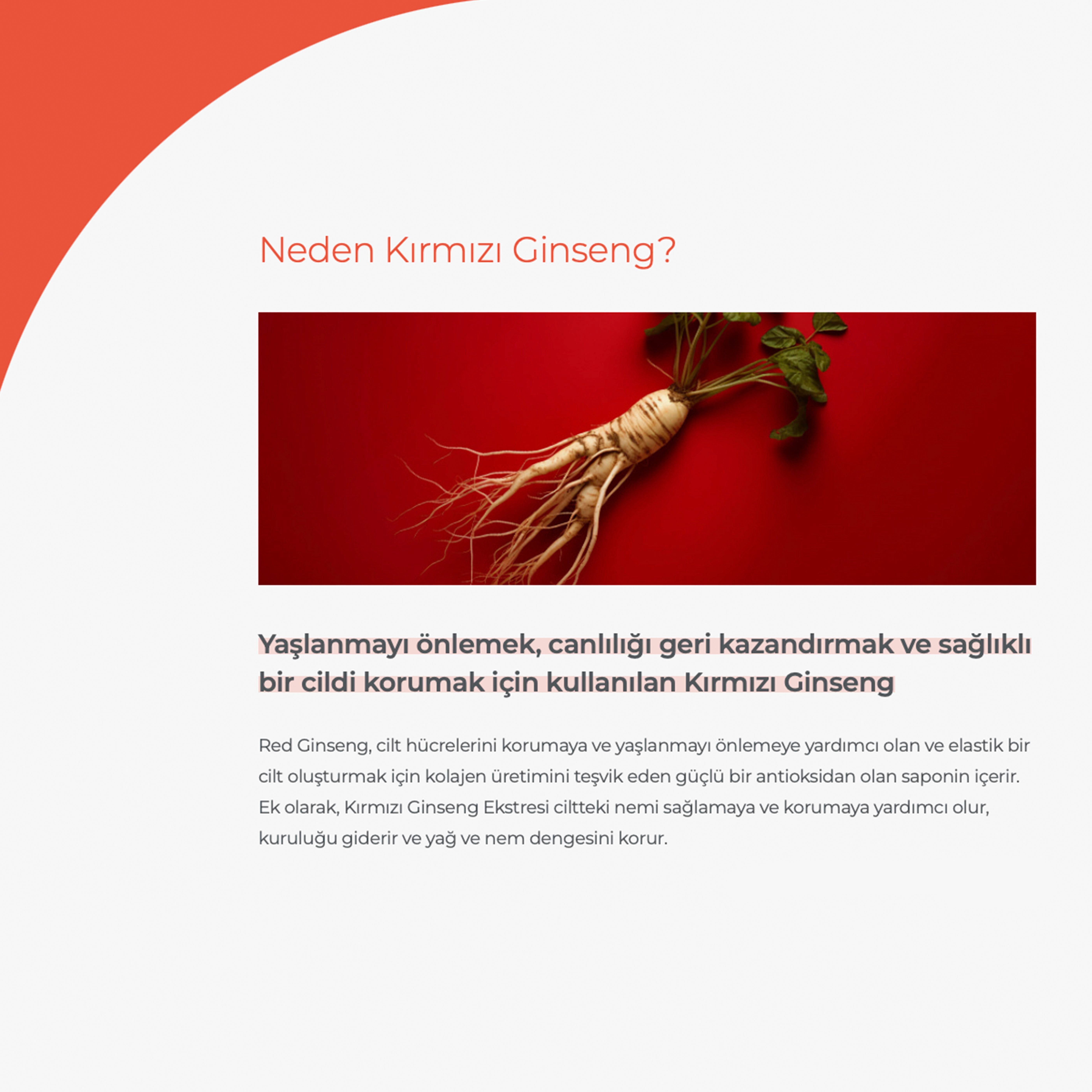 %66 Kırmızı Ginseng İçeren Onarıcı, Canlandırıcı, Yaşlanma Karşıtı ve Dolgunlaştırıcı Serum 30ml