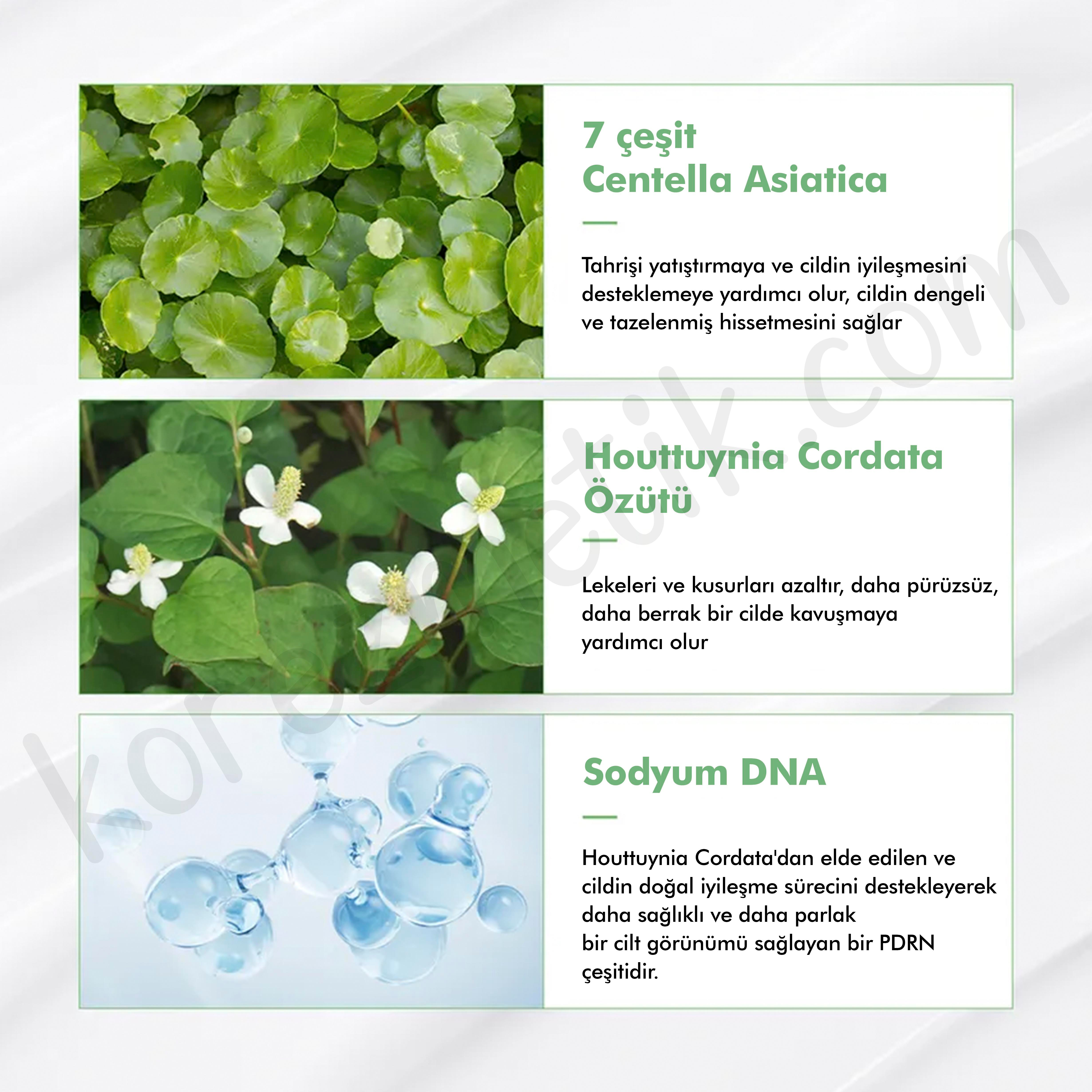 Dr. Althea Beyaz Çay ve Sodium DNA İçeren Yatıştırıcı Etkili Green Tea Fresh Güneş Kremi Spf50+ Pa++++ 50ml
