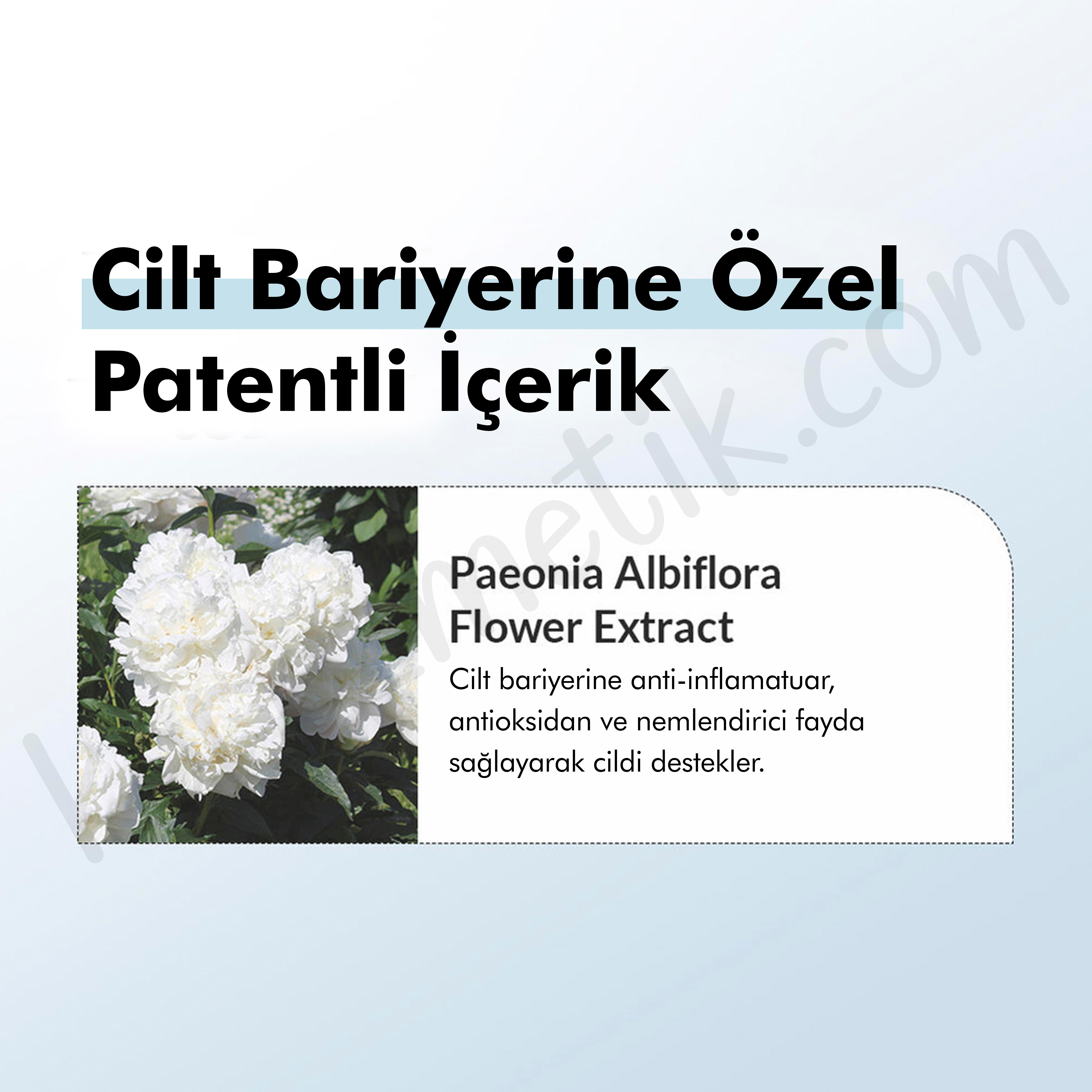 Dr. Althea 147 Barrier Cream - 4 Çeşit Seramid İçeren Bariyer Koruyucu, Besleyici, Onarıcı Ve Yoğun Nemlendirici Krem - 50ml
